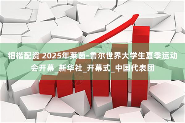 钿楷配资 2025年莱茵-鲁尔世界大学生夏季运动会开幕_新华社_开幕式_中国代表团