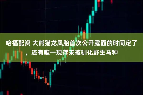 哈福配资 大熊猫龙凤胎首次公开露面的时间定了，还有唯一现存未被驯化野生马种