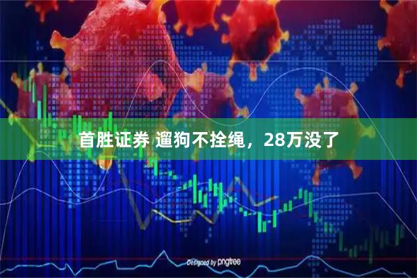 首胜证券 遛狗不拴绳，28万没了